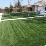 Lawn Maintenance